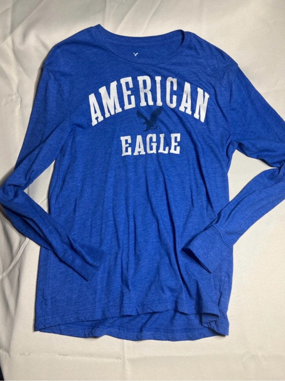 American Eagle Outfitters Blue Long Sleeve Graphic Tee